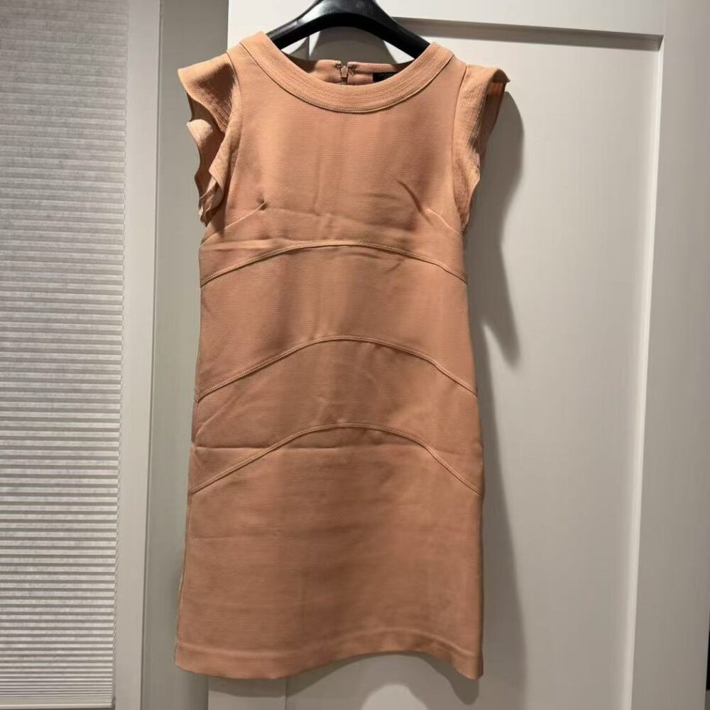 Ann Taylor Flutter Short Sleeve Blush Pink Peach Mini Dress | Casual | Cocktail